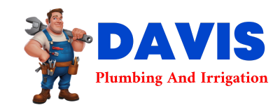 Trusted plumber in EDON